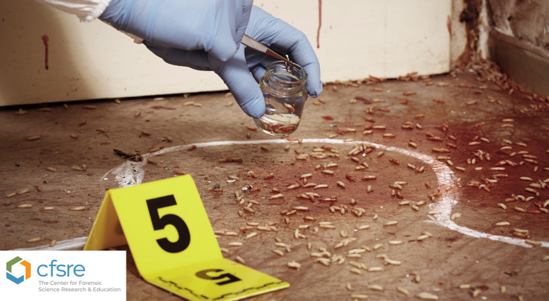 Forensic_Entomology_Banner_image_small.png